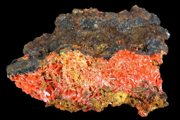 Bright Orange Crocoite Crystal Cluster - Tasmania #103803